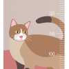 Groeimeter poes