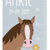 Groeimeter paard
