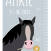 Groeimeter paard - Afbeelding 3