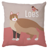 Kussen poes